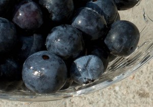 blueberries