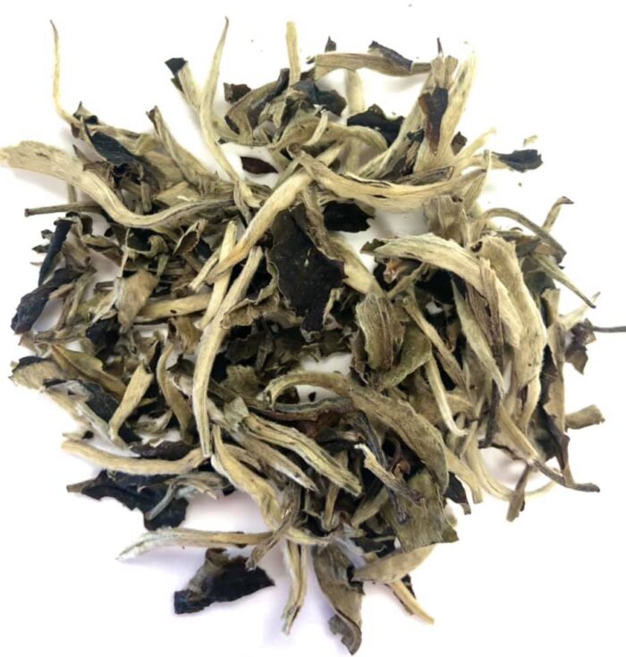 Silver Moonlight Wild White